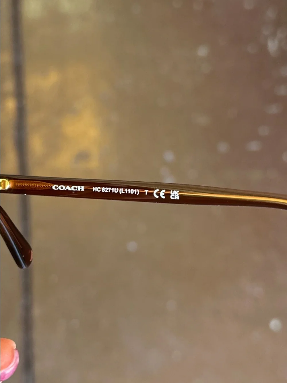 Coach Women's Ginger Brown Frame Sunglasses with Brown Gradient Lenses